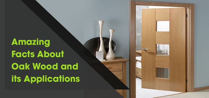 14 Amazing Facts About Oak Wood & Its Uses