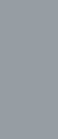 Gris Cendre High Gloss Fire Door
