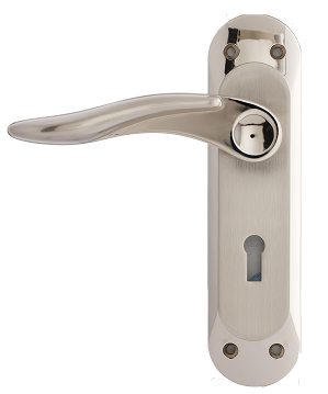 Alzette Lever on Backplate Keylock