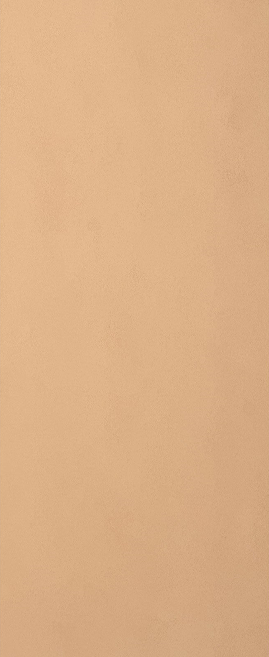 HDF Flush Internal Door