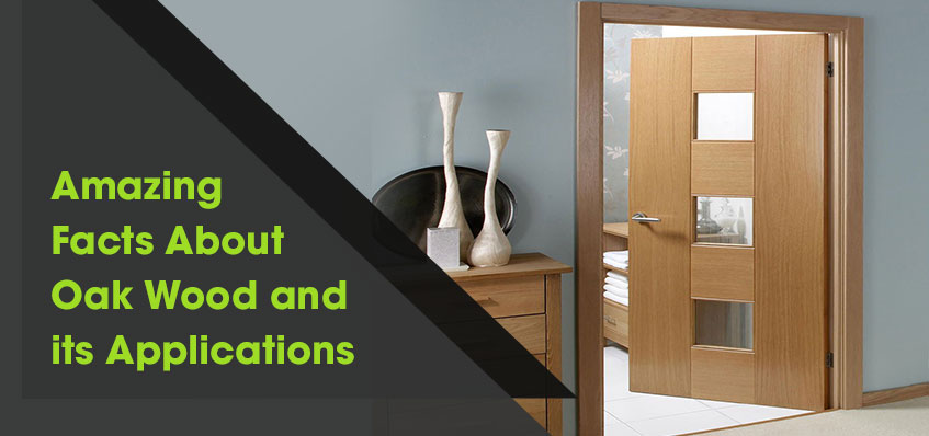 14 Amazing Facts About Oak Wood & Its Uses