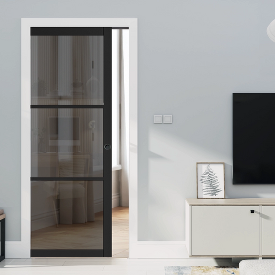 Black 3L Tinted Glazed Pocket Door Set