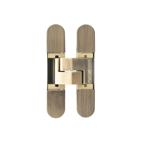 Antique Brass Concealed Hinge