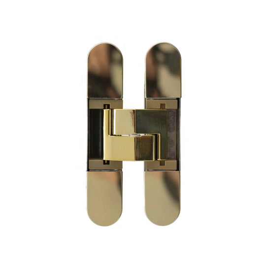 Polished Brass Concealed Hinge