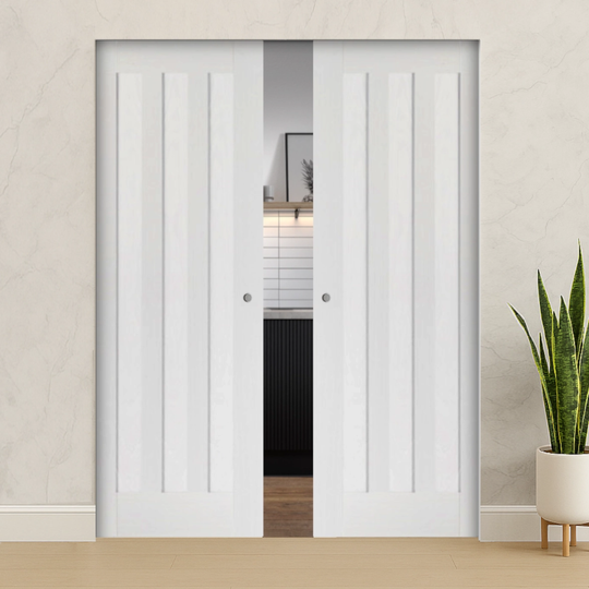 Idaho White Double Flush Pocket Door Set