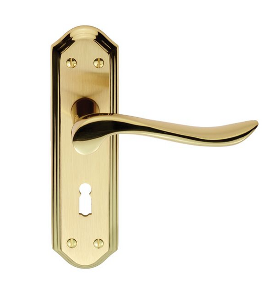 Berlin Lever on Backplate PB