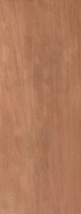 Paint Grade Flush Interior Fire Door FD60