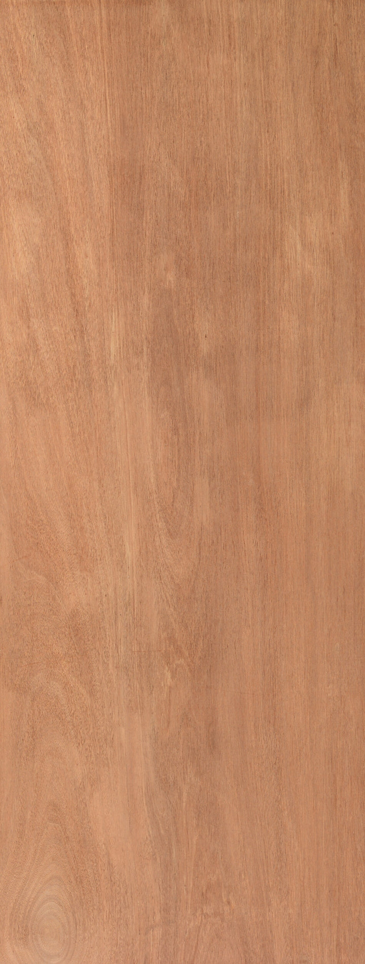 Paint Grade Veneer Door